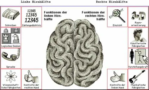 Hirndominanz Funktion Der Beiden Gehirnhalften Philognosie